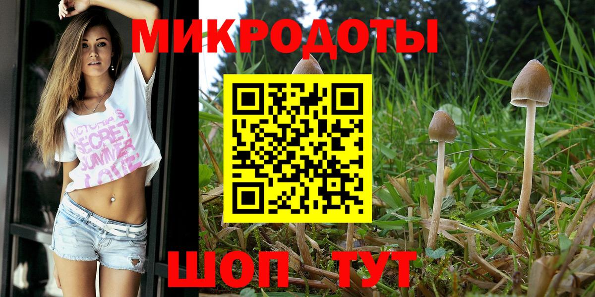Галлюциногенные грибы Psilocybine cubensis  где можно купить   Вход с VPN  Бор  Галлюциногенные грибы Psilocybine cubensis 