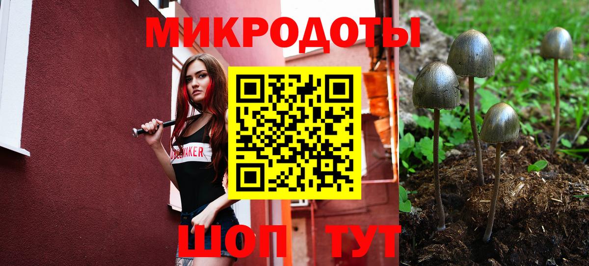 Псилоцибиновые грибы прущие грибы Бор